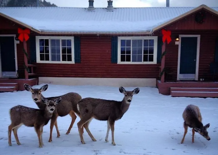 Three Bears Lodge